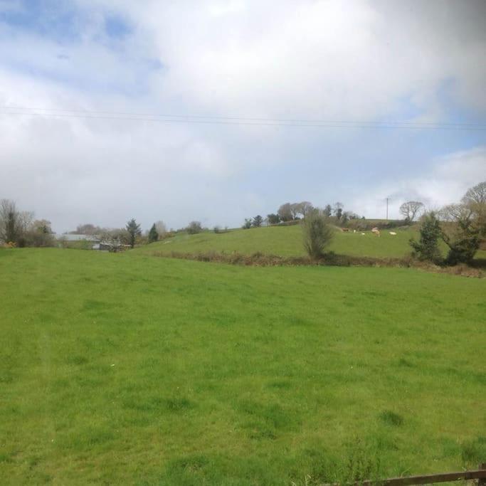 Killarney Farm House. Luaran gambar